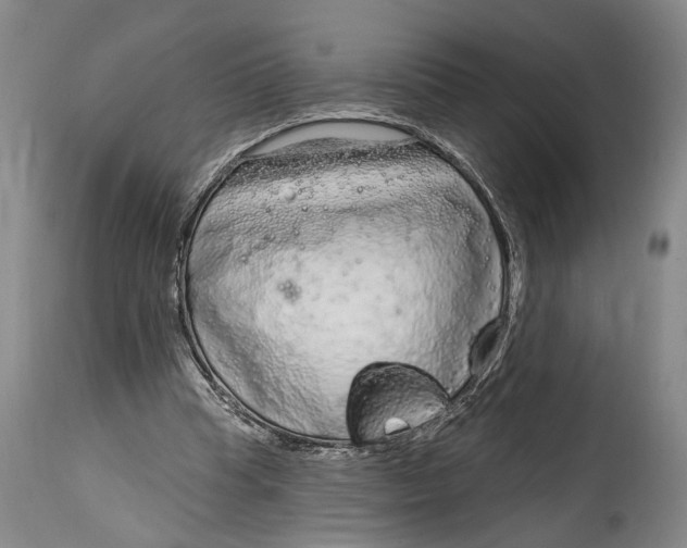 X0000115010345200911161606
