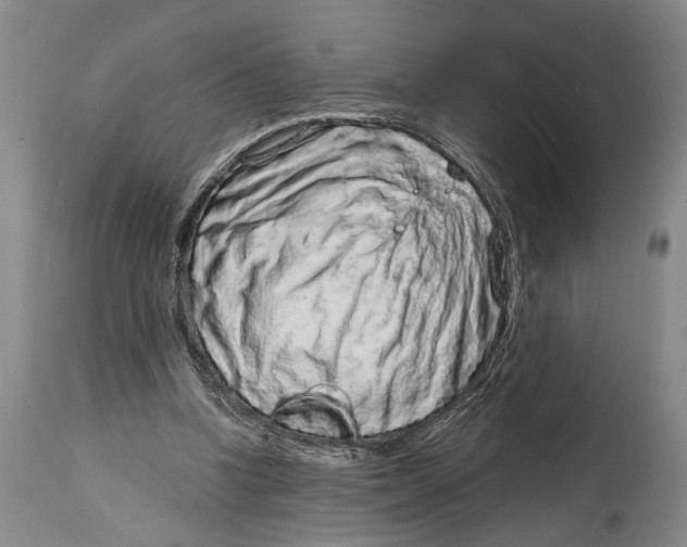 X0000115010346200911161606