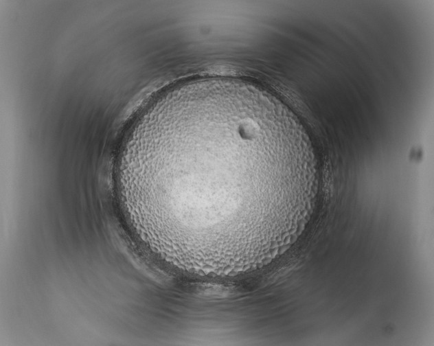X0000115010347200911161606