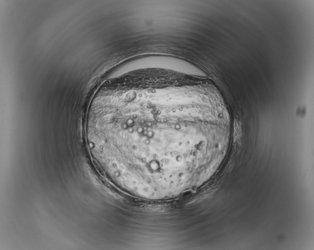 X0000115010349200911161606