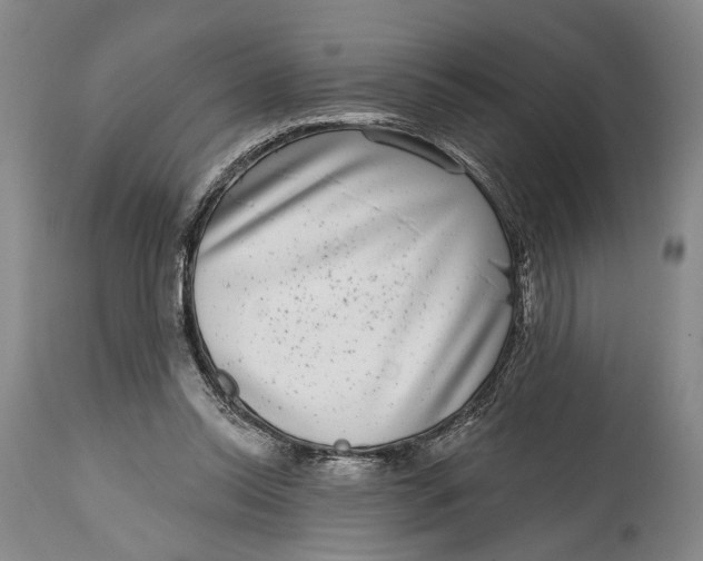 X0000115010350200911161606