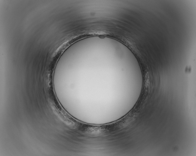 X0000115010351200911161606