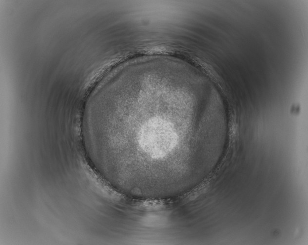 X0000115010353200911161606