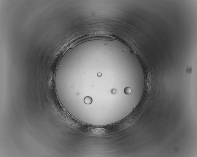 X0000115010355200911161606
