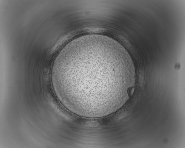 X0000115010357200911161606