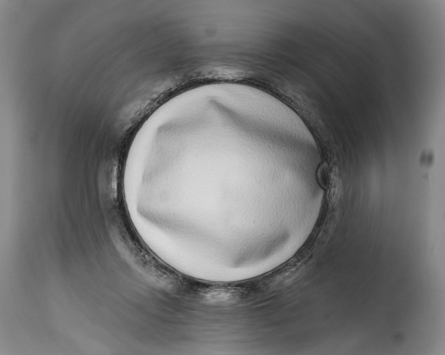 X0000115010358200911161606