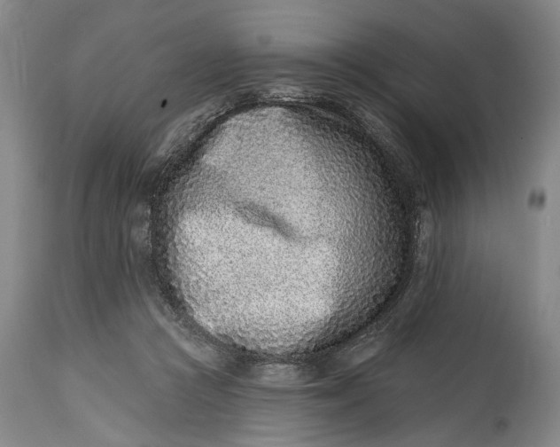 X0000115010361200911161606