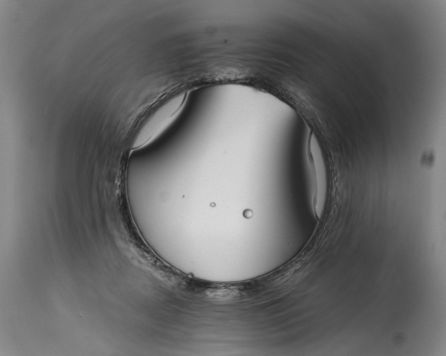 X0000115010362200911161606