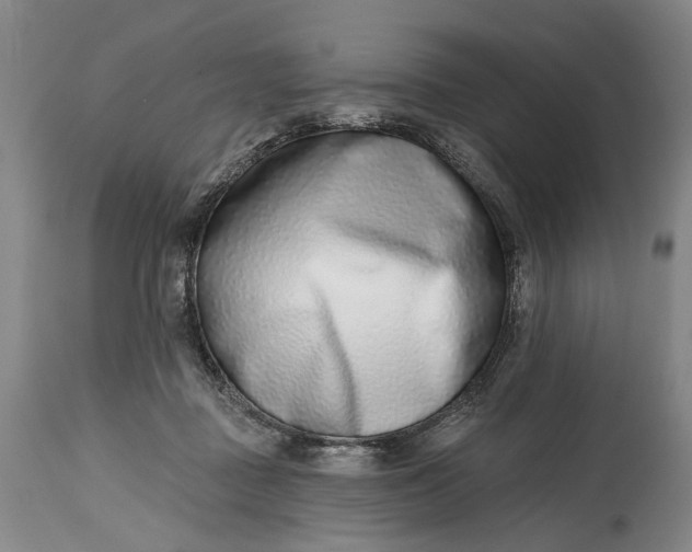 X0000115010363200911161606