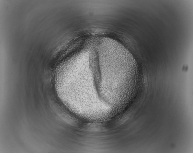 X0000115010367200911161606