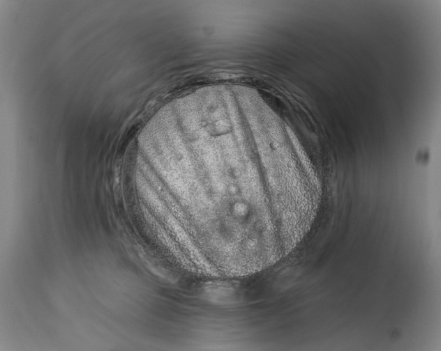 X0000115010373200911161606