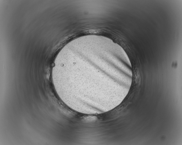 X0000115010374200911161606