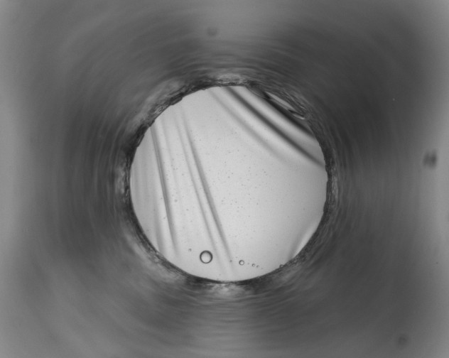 X0000115010379200911161606
