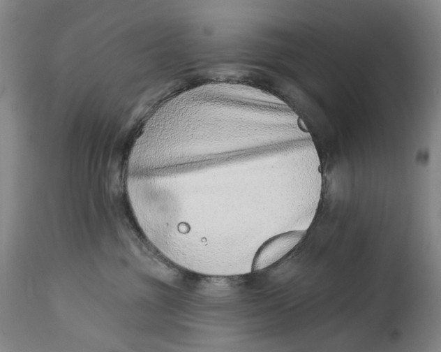 X0000115010381200911161606
