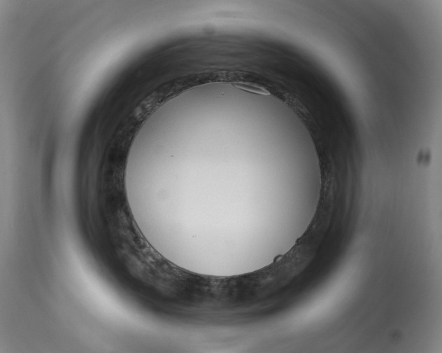 X0000115010383200911161606
