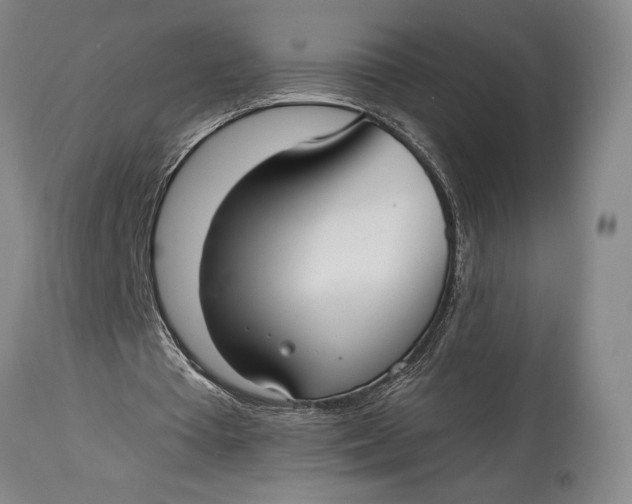 X0000115010385200911161605