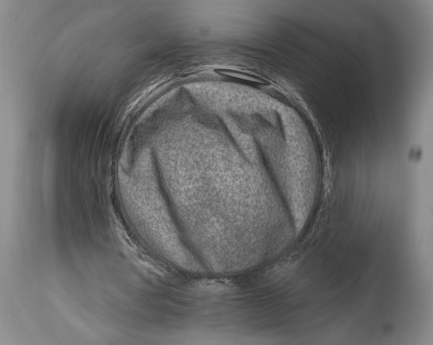X0000115010386200911161605