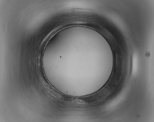 X0000115010387200911161605