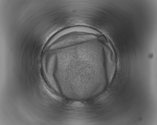 X0000115010390200911161605