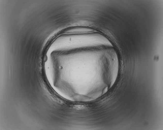X0000115010392200911161605