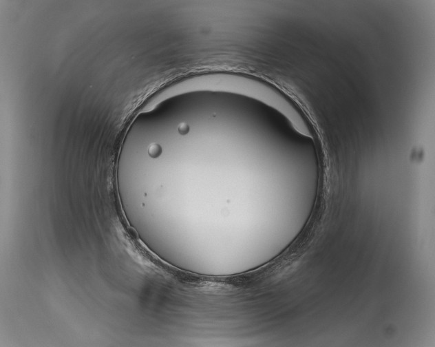 X0000115010393200911161605