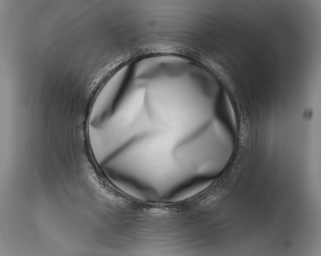 X0000115010394200911161605