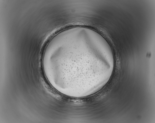 X0000115010395200911161605