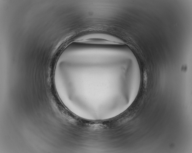 X0000115010396200911161605
