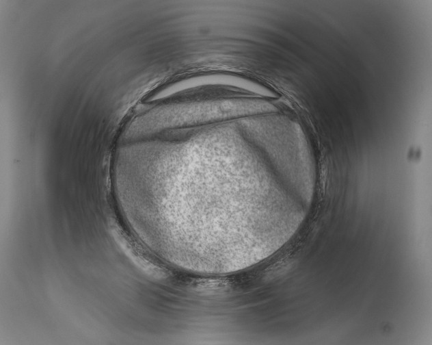 X0000115010398200911161605