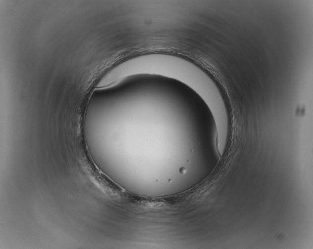 X0000115010401200911161605