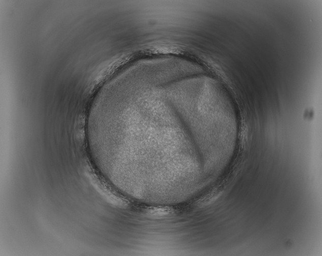 X0000115010402200911161605
