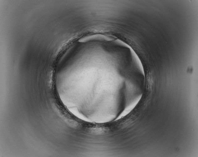 X0000115010404200911161605