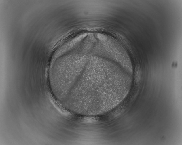 X0000115010405200911161605