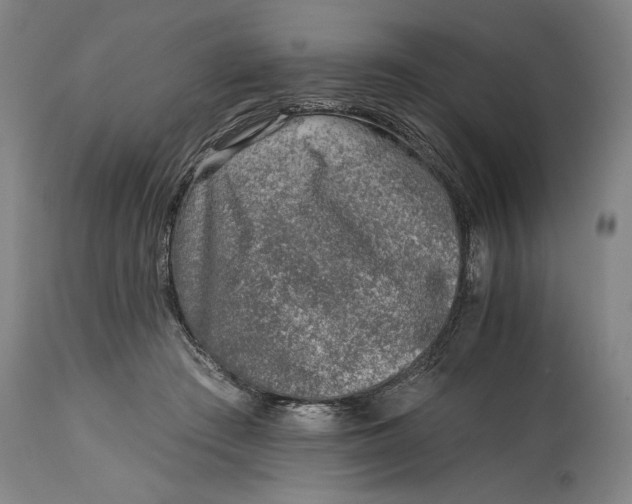 X0000115010409200911161605