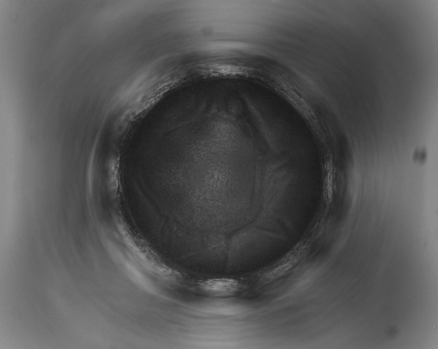 X0000115010410200911161605