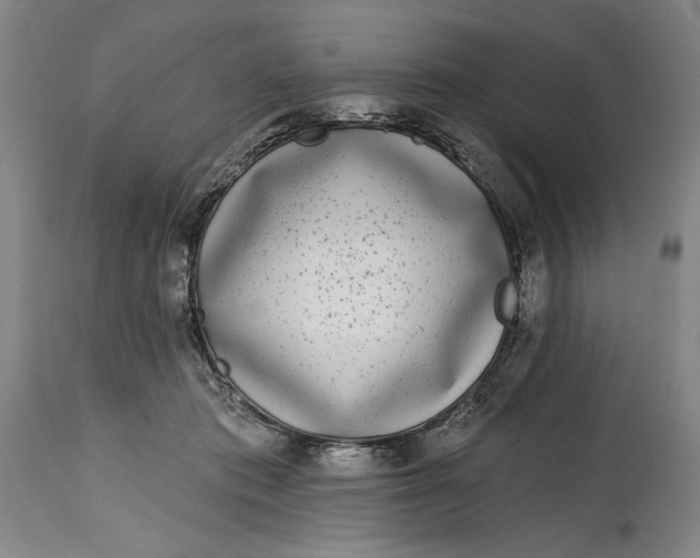 X0000115010413200911161605