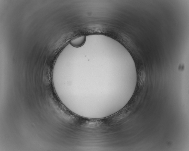 X0000115010414200911161605