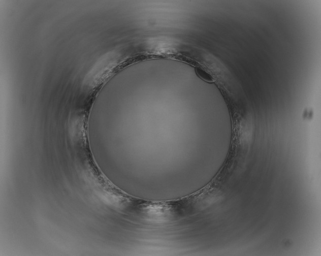 X0000115010415200911161605