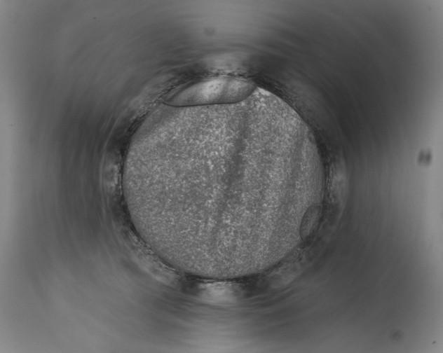 X0000115010417200911161605