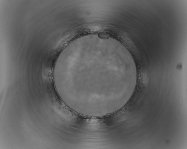 X0000115010419200911161605