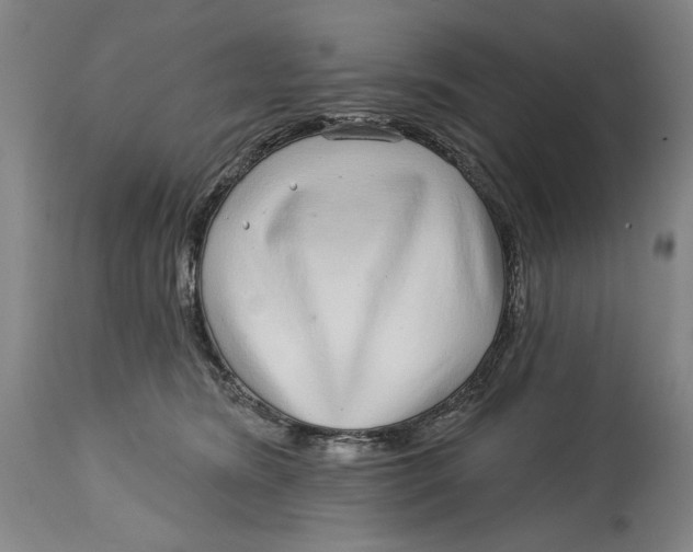 X0000115010420200911161605