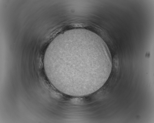 X0000115010422200911161605
