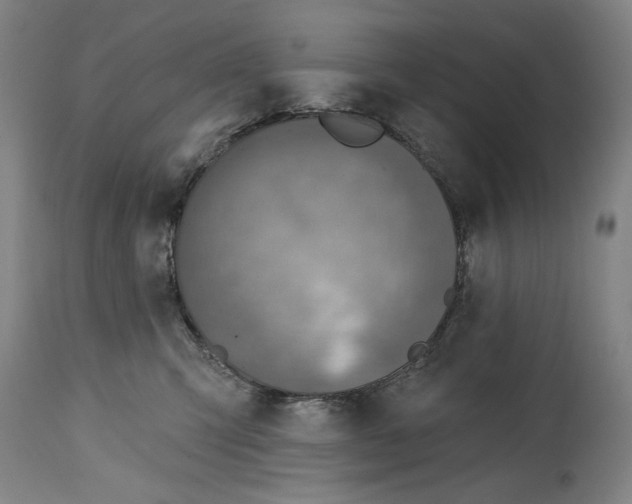 X0000115010423200911161605