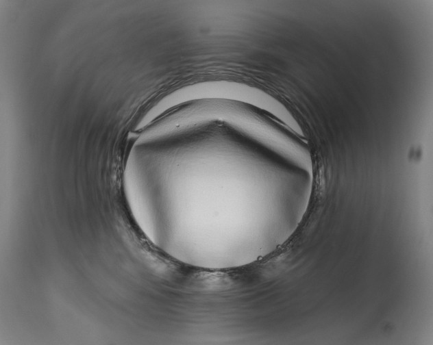X0000115010424200911161605