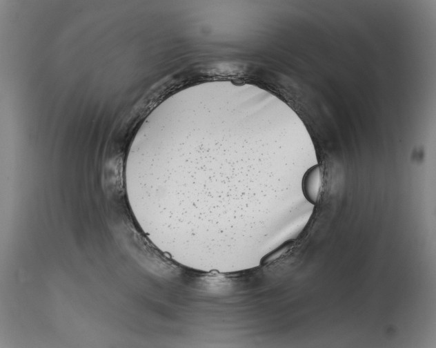 X0000115010425200911161605