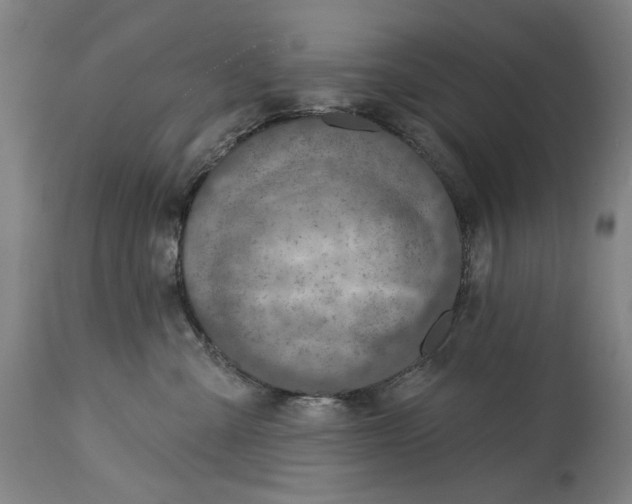 X0000115010427200911161605