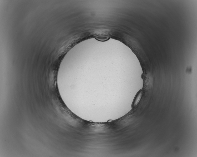 X0000115010428200911161605