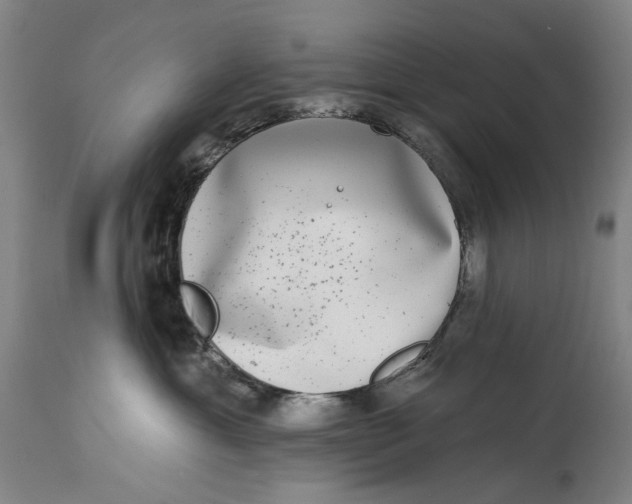 X0000115010429200911161605