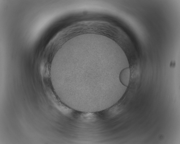 X0000115010431200911161605