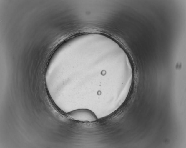 X0000115010433200911161604